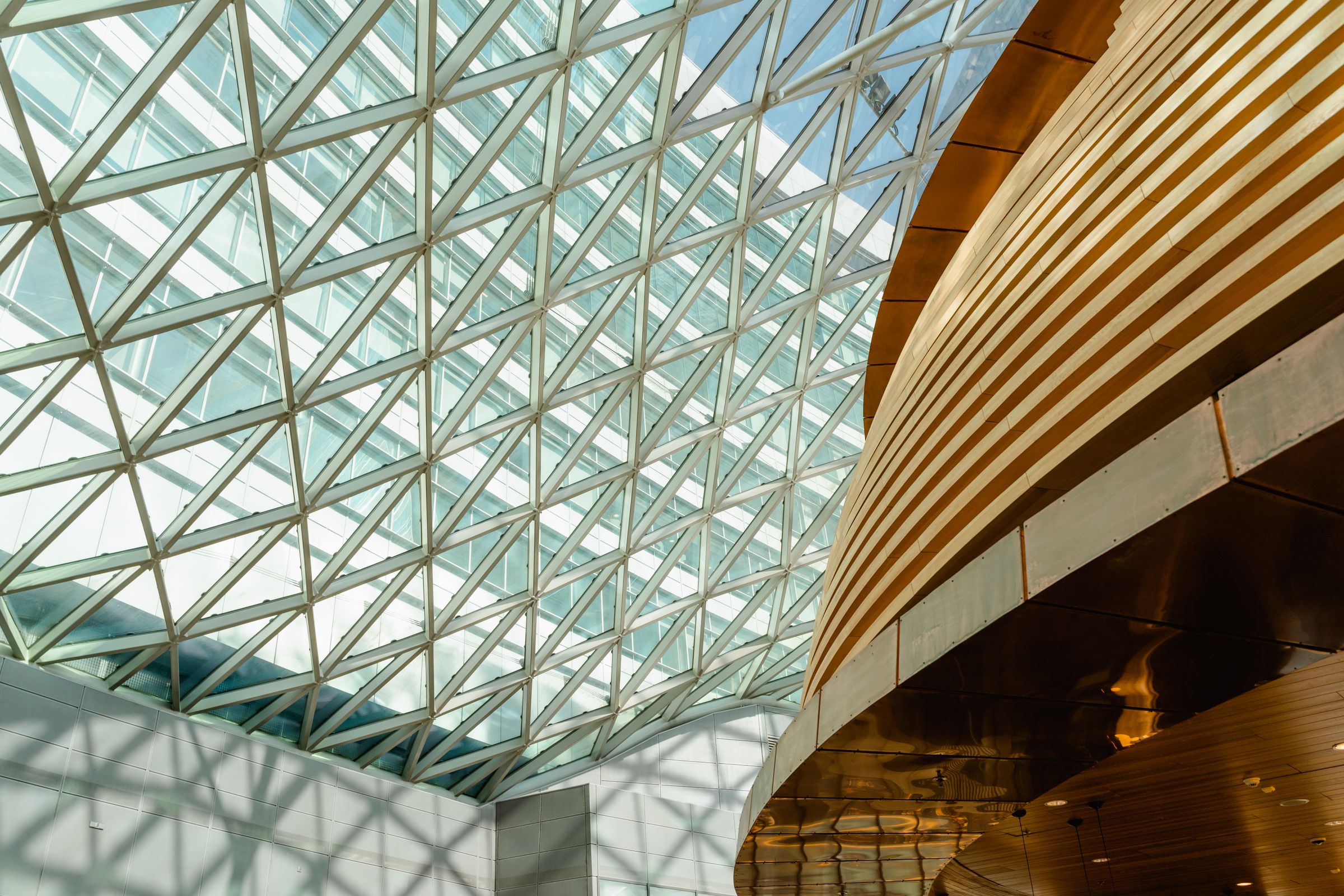 Glass atrium with a curved timber structure and layered daylight