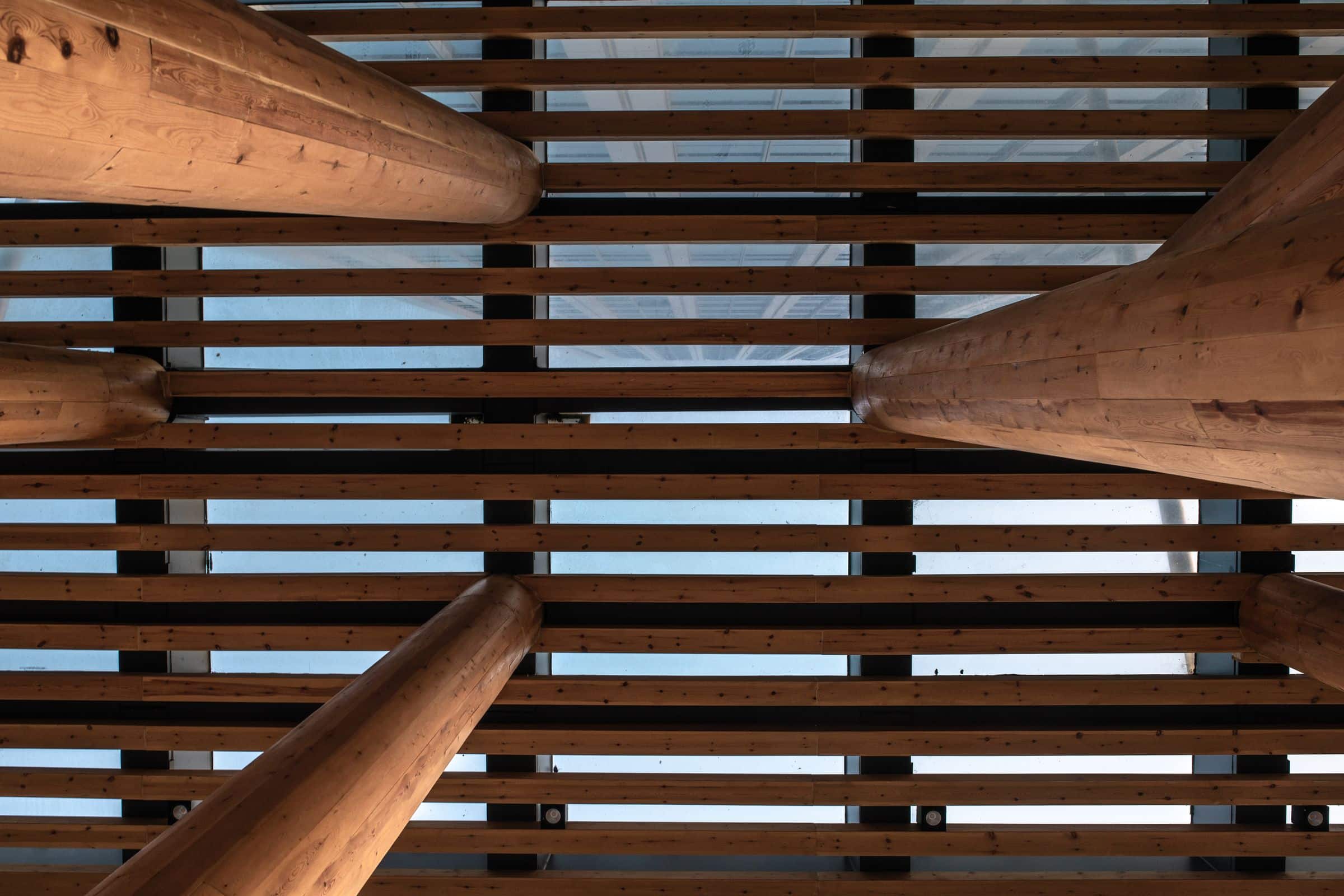 Timber roof structure viewed from below with layered beams