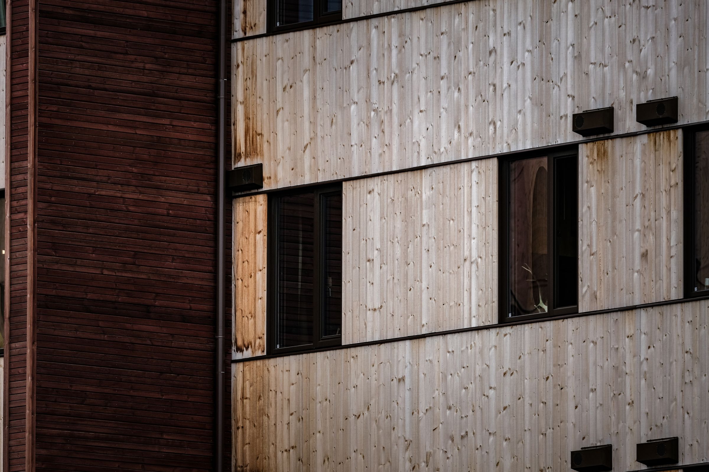 Close-up of a timber panel facade with dark window openings