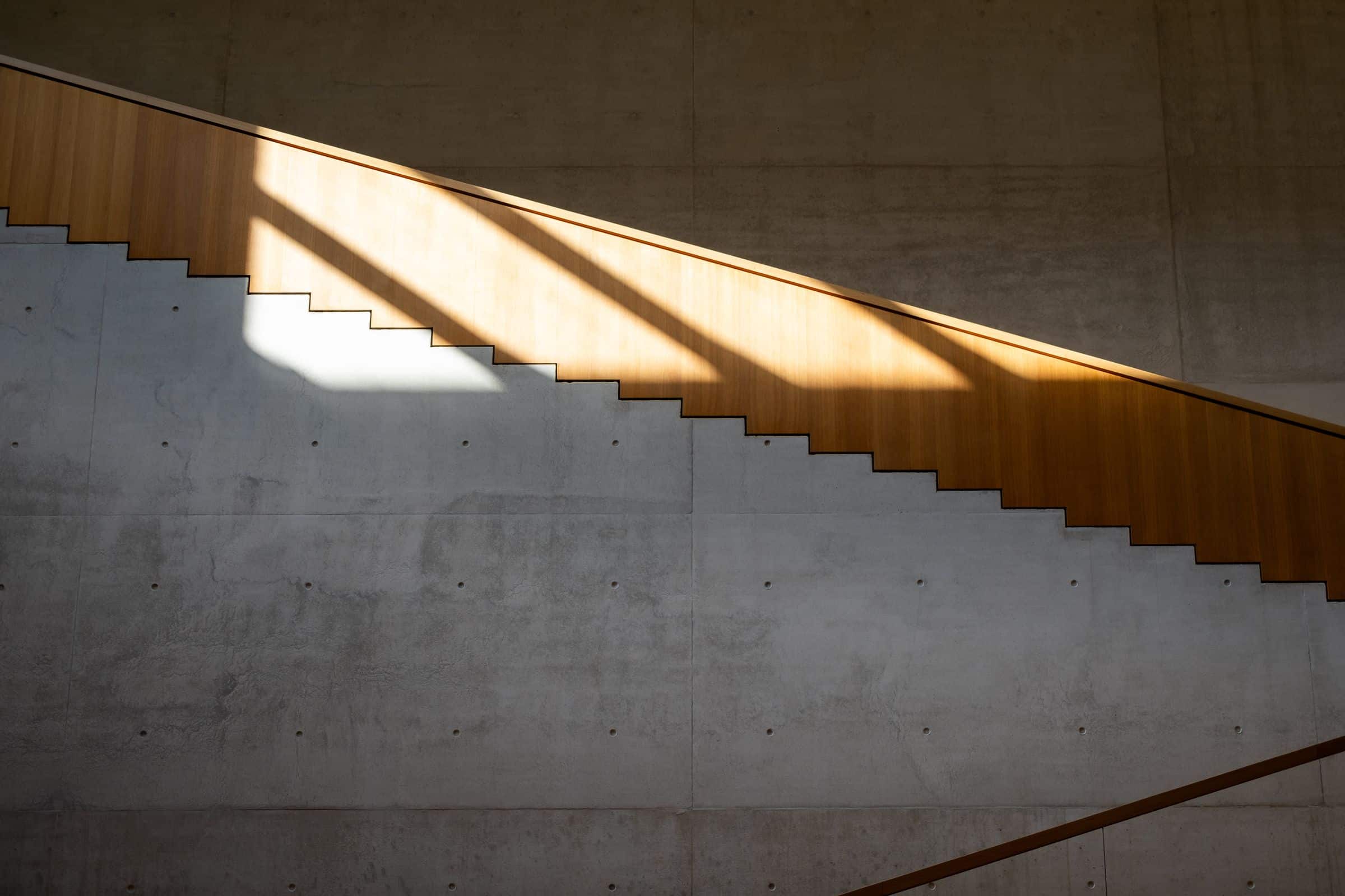 Sunlit staircase against a concrete wall in a contemporary residence